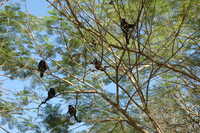  2007-12-10 10.46.28.JPG 